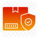 Secure Parcel Package Security Package Icon