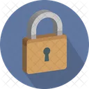 Securite Cadenas Serrure Icon