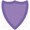 Security Protection Safe Icon