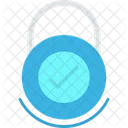 Security Check And Check Icon