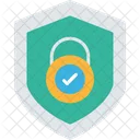 Security Check Check Completed Icon