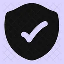 Security Check Icon