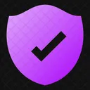 Security Check Icon