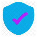 Security Check Icon