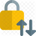 Security Data Transfer Icon