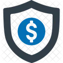 Security Asset Money Icon