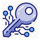 Security Key Authentication Access Icon