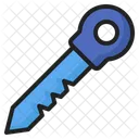 Security Key  Icon