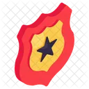 Security Shield Safety Shield Buckler Icon