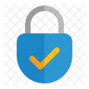 Succes Security Secure Icon