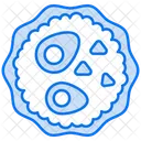 Seder De Pesaj Icono