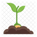 Seed Plant Fertilizer Icon