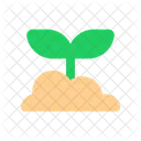 Seed Plant Bud Icon