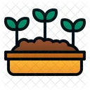 Seed Leaves Plant Icon