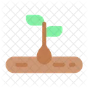 Seed Tree Nature Icon