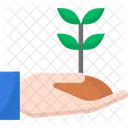 Seed Farming And Gardening Sprout Icon