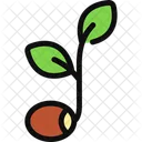 Seed Sprout Growth Icon