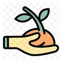 Seed Food Healthy Icon