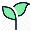 Seed-alt  Icon