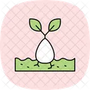 Seed Drop Moment Icon