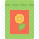 Seed Ecology Nature Icon