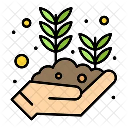 Seed Growing  Icon