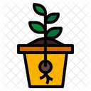 Seed Growth Plant Nature Icon