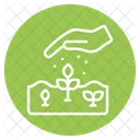 Seed Food Healthy Icon