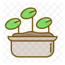 Seed Icon