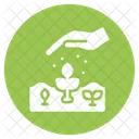 Seed Food Healthy Icon