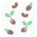 Seed Bean Sprout Icon