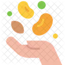 Seed Grain Bean Icon