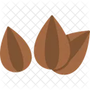 Seed Plant Agriculture Icon