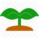 Seed Plant Agriculture Icon