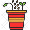 Seed  Icon