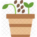 Seed  Icon