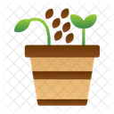 Seed  Icon