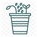 Seed  Icon