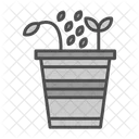 Seed  Icon