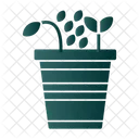 Seed  Icon