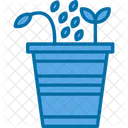Seed  Icon