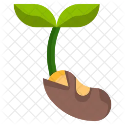 Seed Plant  Icon