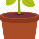 Seed Plant Inside A Pot Plant Trees Icon