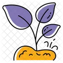 Seed Sapling Growing Plant Plant Sprout Icon