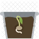Seeding  Icon