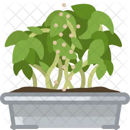 Seeding  Icon