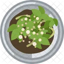 Seeding Tin Flower Icon