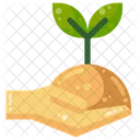 Plant Sapling Sprout Icon