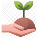 Plant Sapling Sprout Icon