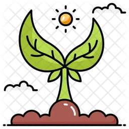 Seedling  Icon